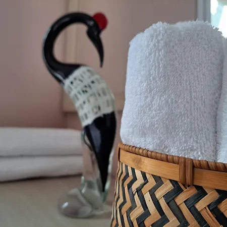 Lion House 리치오네