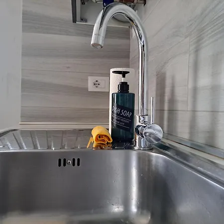 Apartamento Lion House *