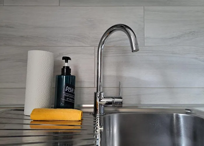 Lion House ريتشيوني